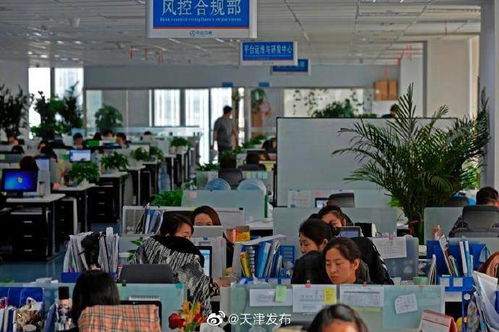 中企云鏈 以創(chuàng)新金融科技服務(wù)安心扎根，以信息技術(shù)咨詢(xún)服務(wù)舒心發(fā)展